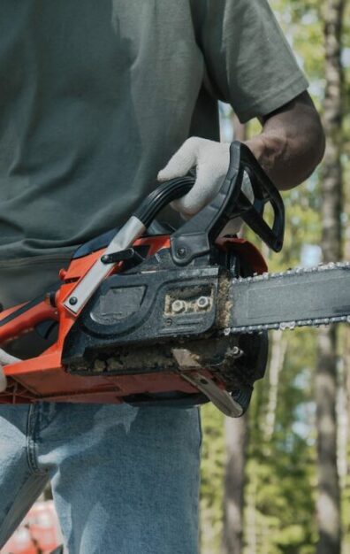 pexels-ron-lach-8820190 pexels-ron-lach-8820190
