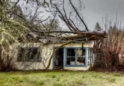 home-crushed-by-fallen-tree-300x210 Home crushed by fallen tree
